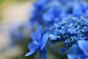 「マインドフルネス×日常生活」に関する写真