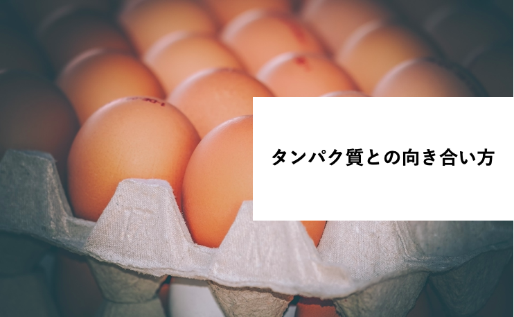 「【丸わかり】タンパク質の消化と吸収について」に関するスクリーンショット